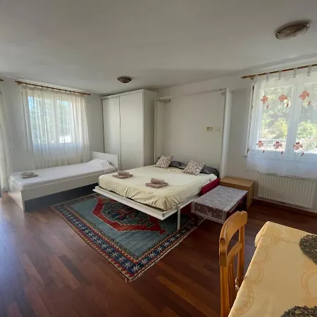 Studio Kyara * Ancarano